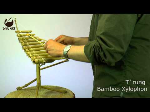Bamboo Musical Instruments - Guadua Bamboo