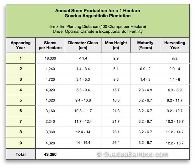 Bamboo Investment Scams Exposed!