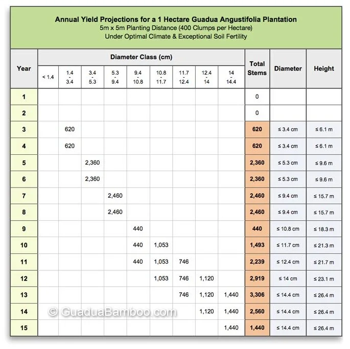 Bamboo Investment Scams Exposed!