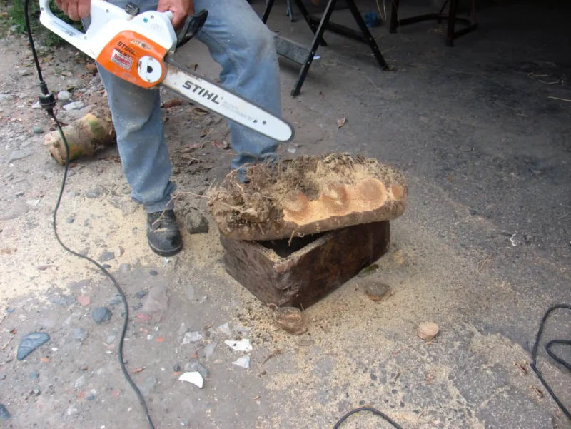 Making Bamboo Polo Balls from Guadua Rhizomes