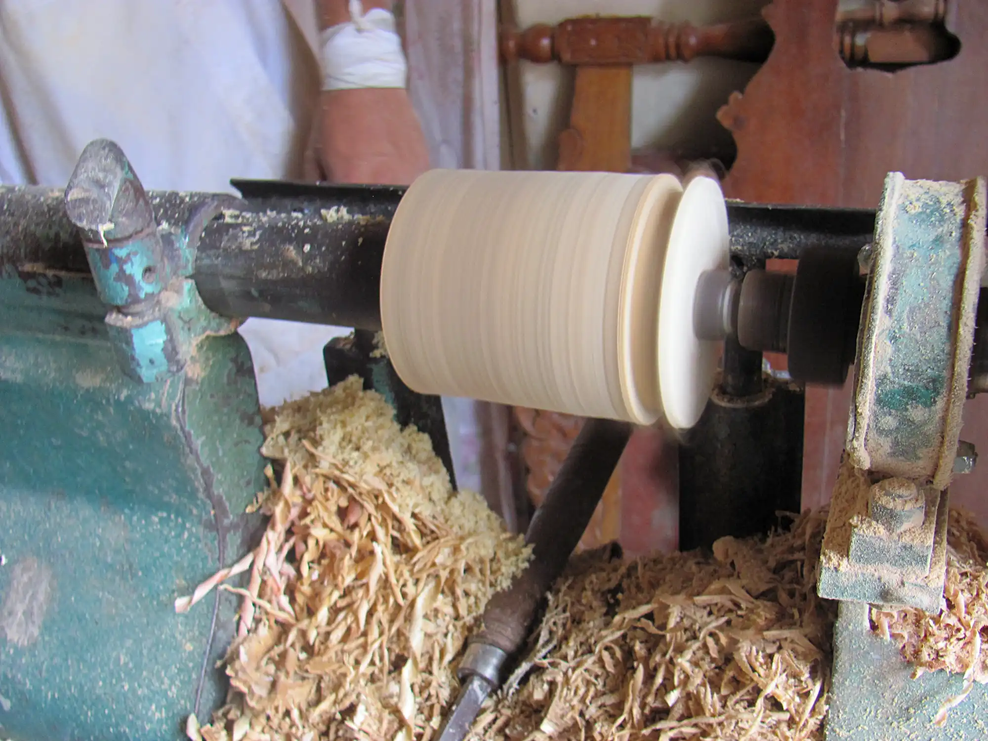 Making Bamboo Polo Balls from Guadua Rhizomes