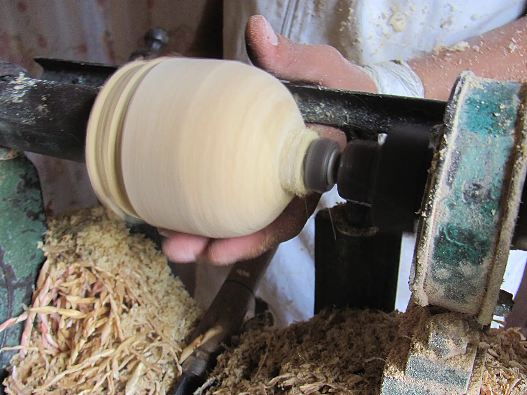 Making Bamboo Polo Balls from Guadua Rhizomes