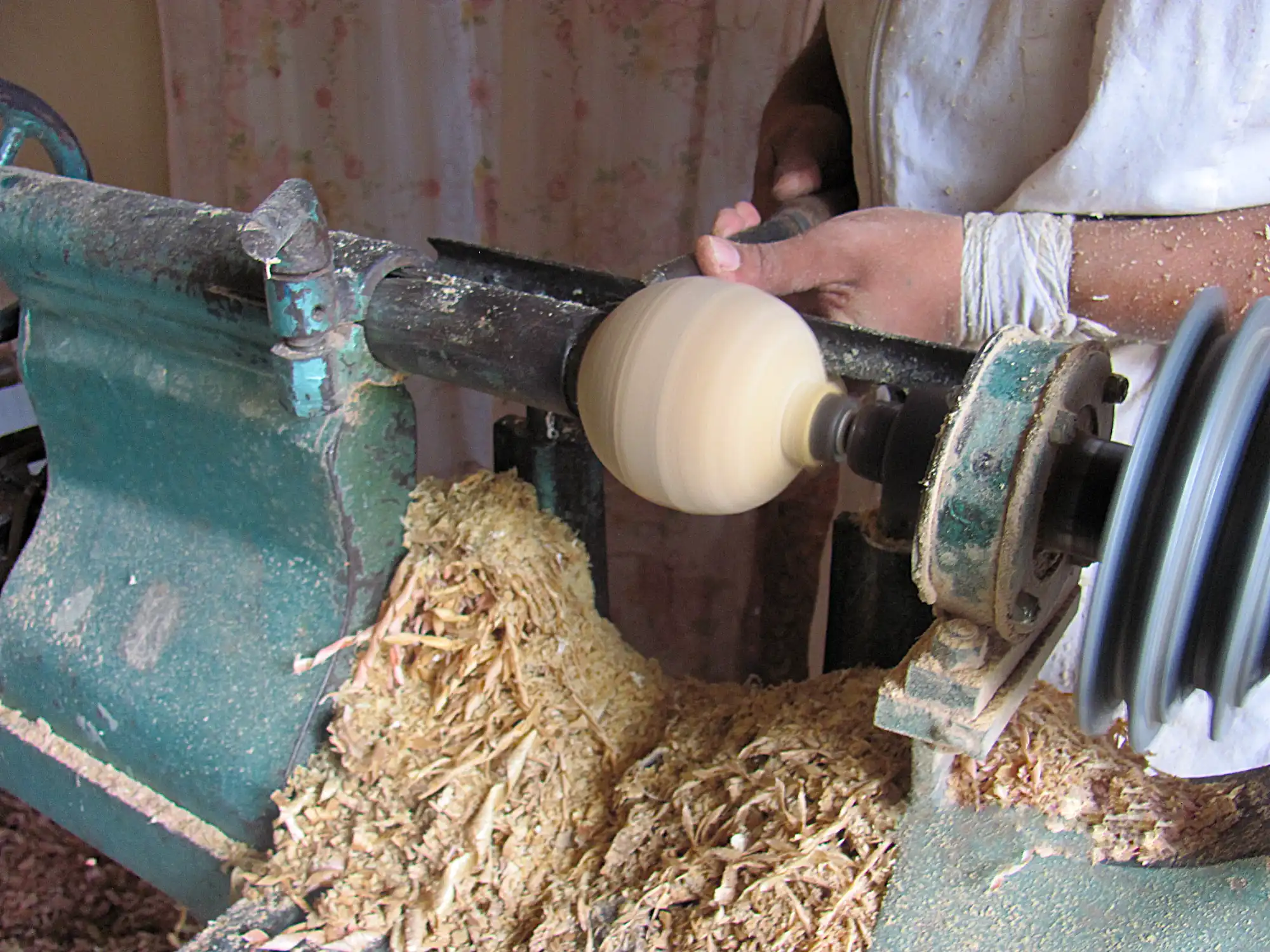 Making Bamboo Polo Balls from Guadua Rhizomes