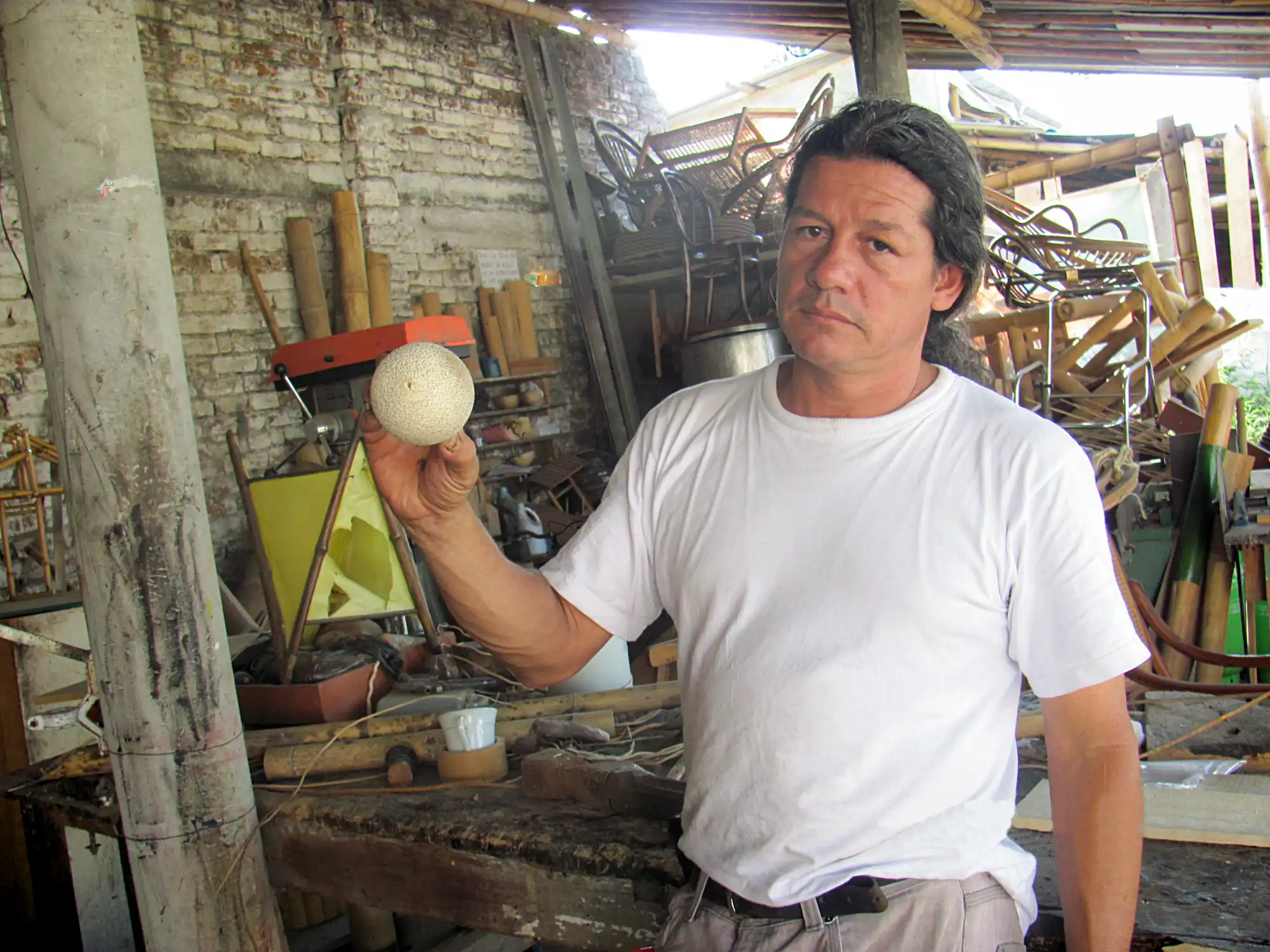 Making Bamboo Polo Balls from Guadua Rhizomes
