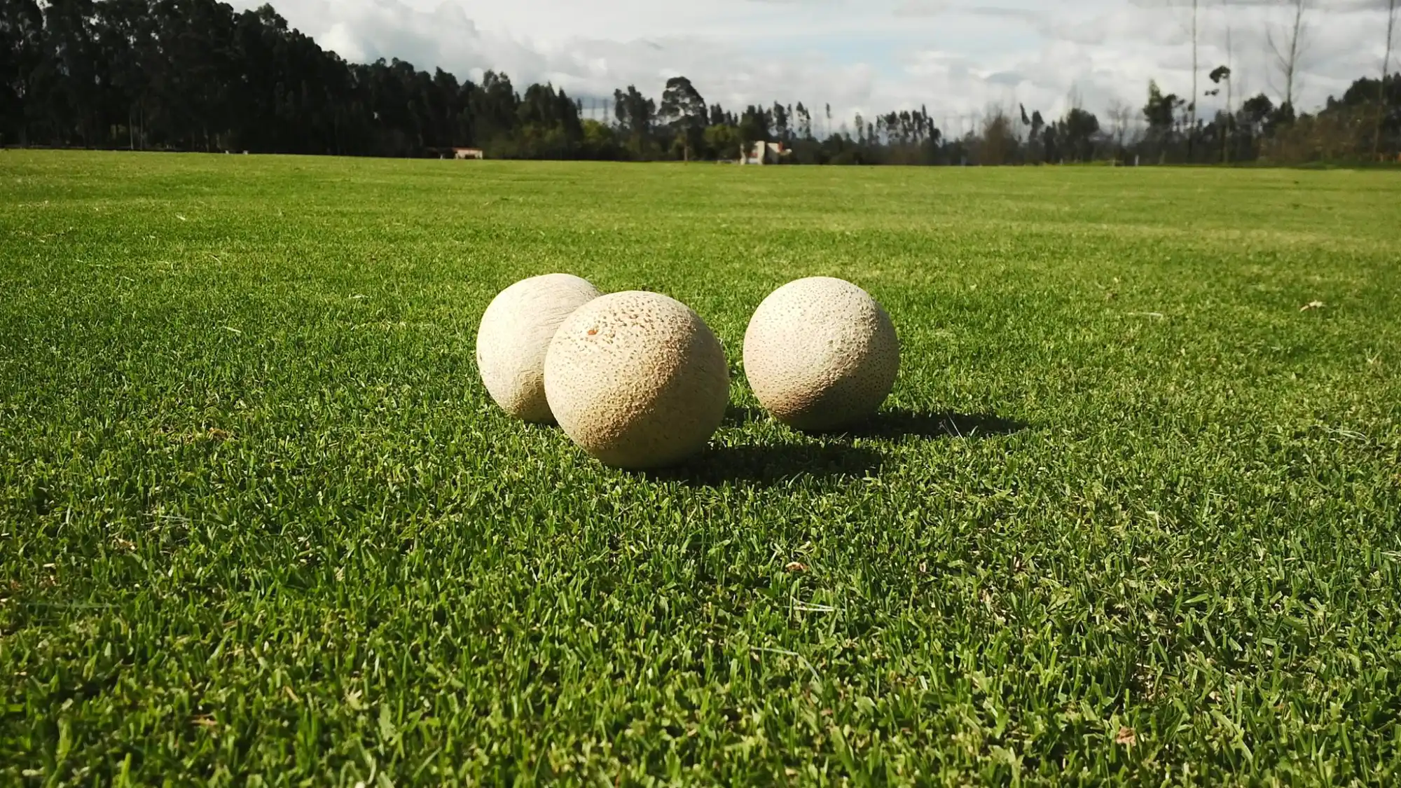 Bamboo Polo Balls