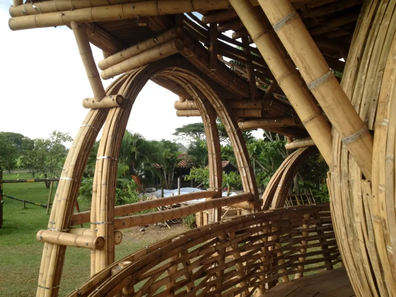 Guadua Bamboo Treehouse Colombia