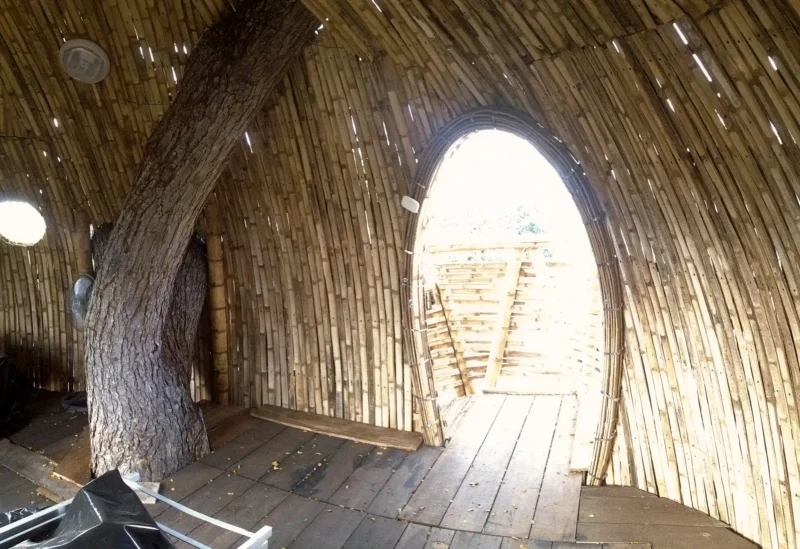 Guadua Bamboo Treehouse Colombia