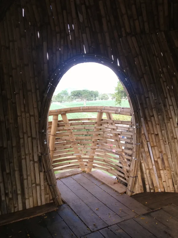 Guadua Bamboo Treehouse Colombia