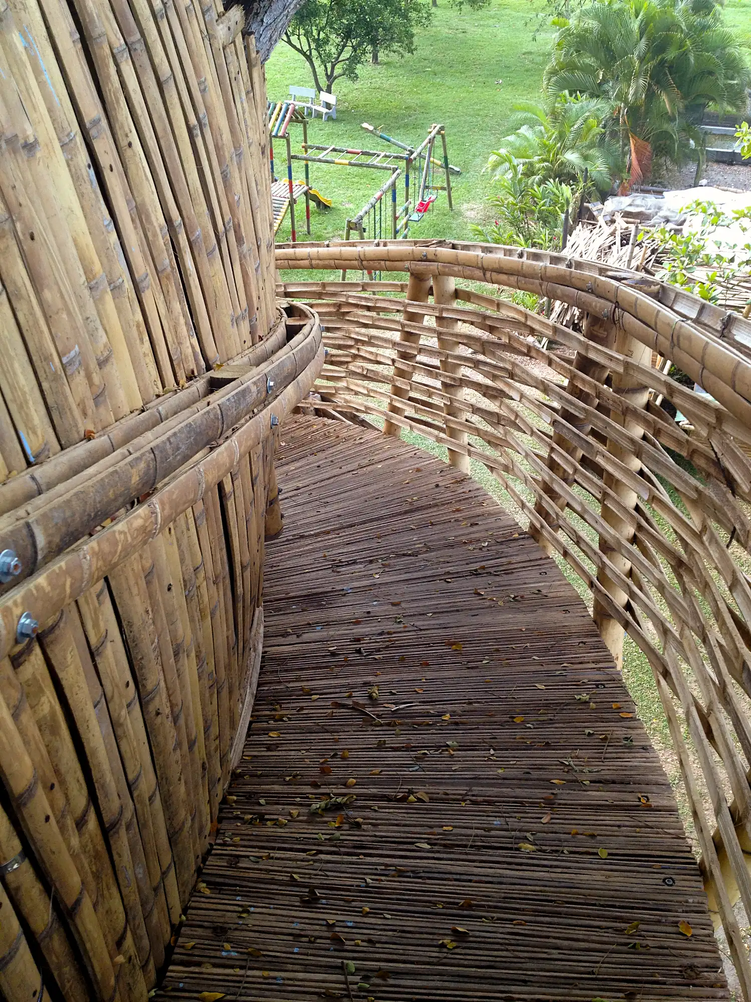 Guadua Bamboo Treehouse Colombia