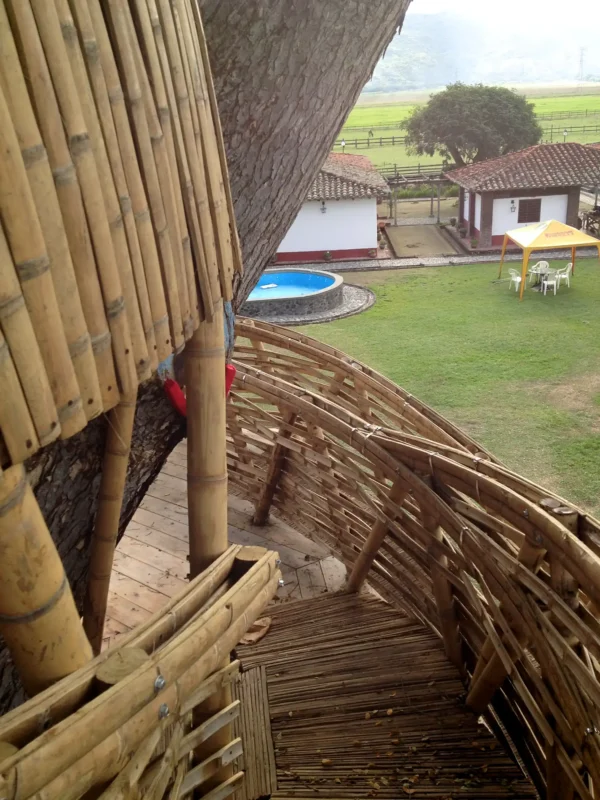 Guadua Bamboo Treehouse Colombia