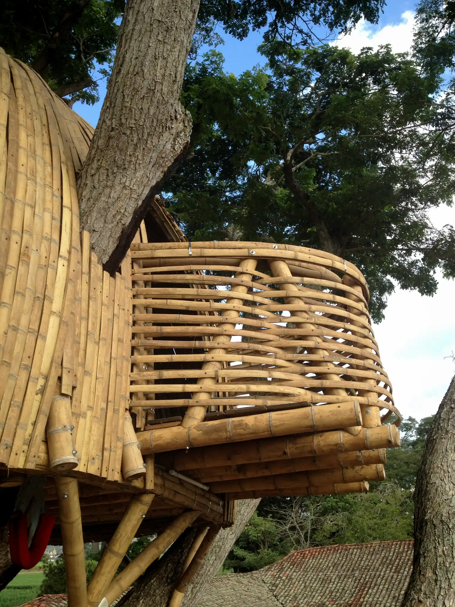 Guadua Bamboo Treehouse Colombia