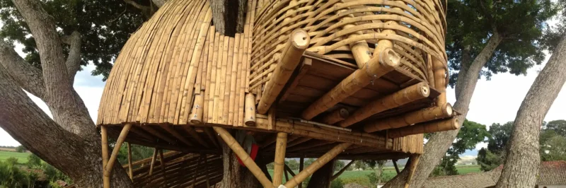 Guadua Bamboo Treehouse Colombia