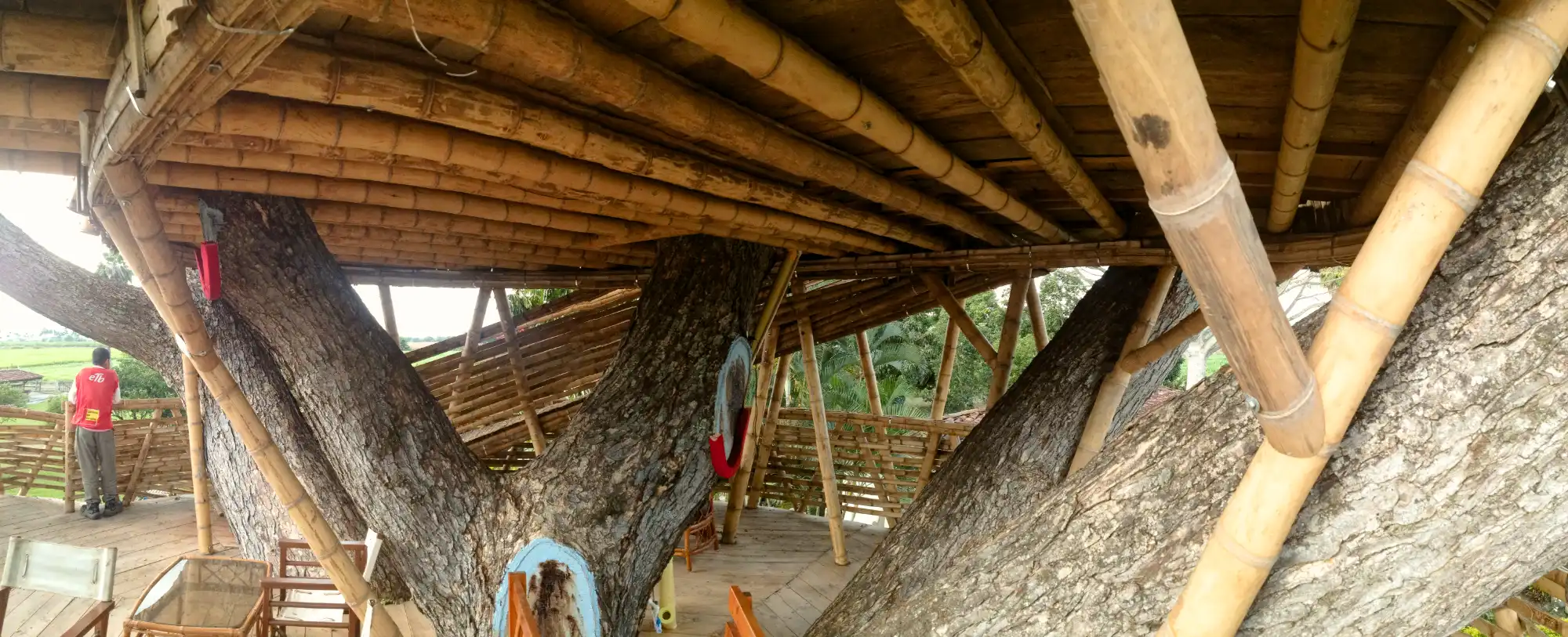 Guadua Bamboo Treehouse Colombia