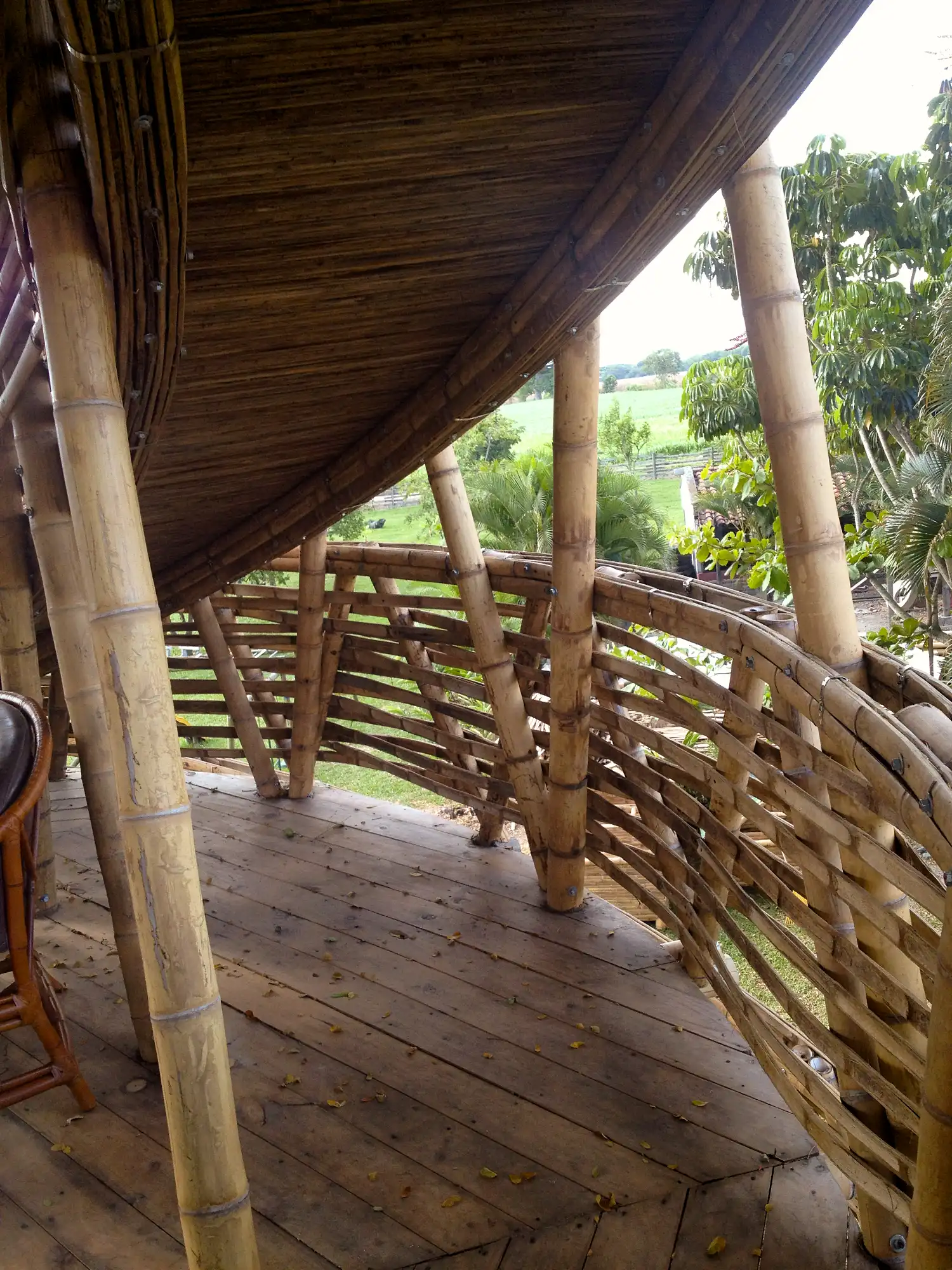 Guadua Bamboo Treehouse Colombia