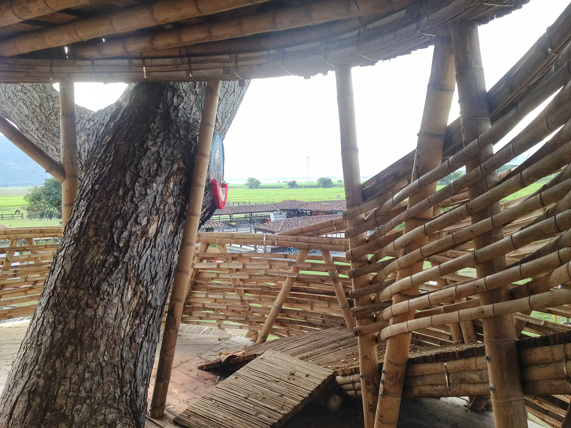 Guadua Bamboo Treehouse Colombia