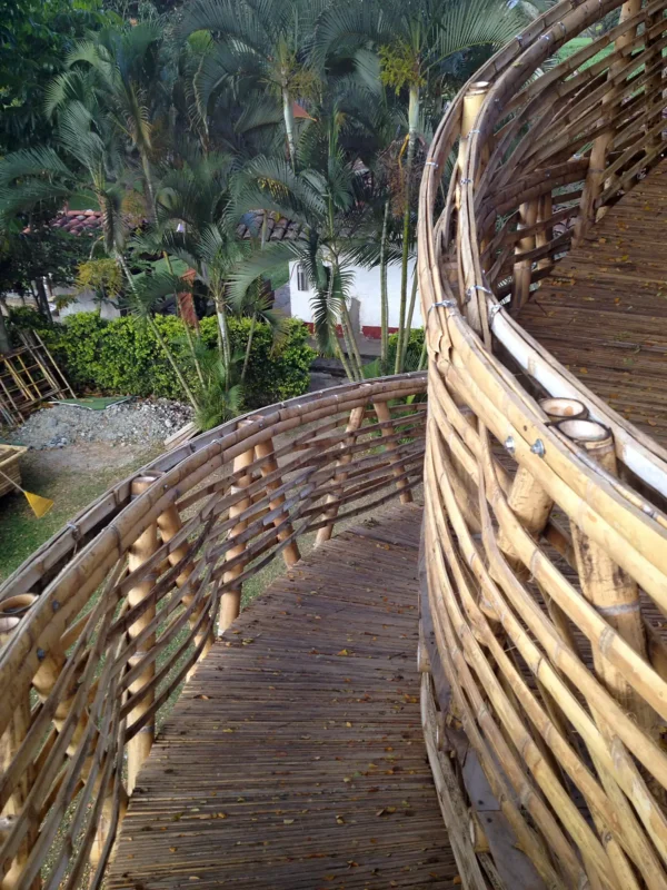 Guadua Bamboo Treehouse Colombia