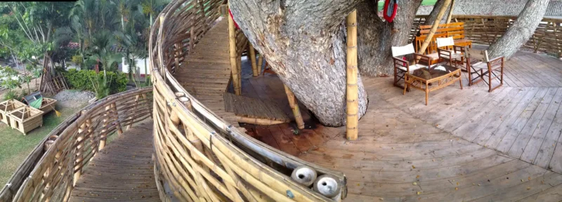 Guadua Bamboo Treehouse Colombia