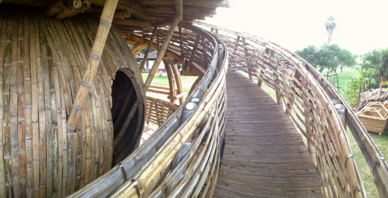 Guadua Bamboo Treehouse Colombia