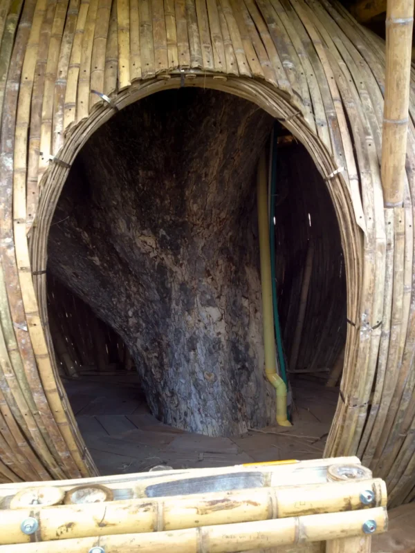 Guadua Bamboo Treehouse Colombia
