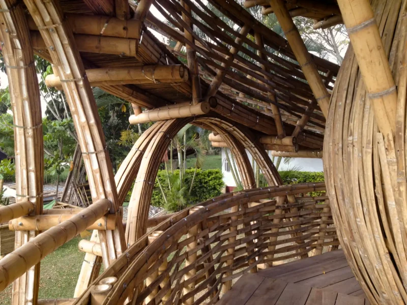 Guadua Bamboo Treehouse Colombia