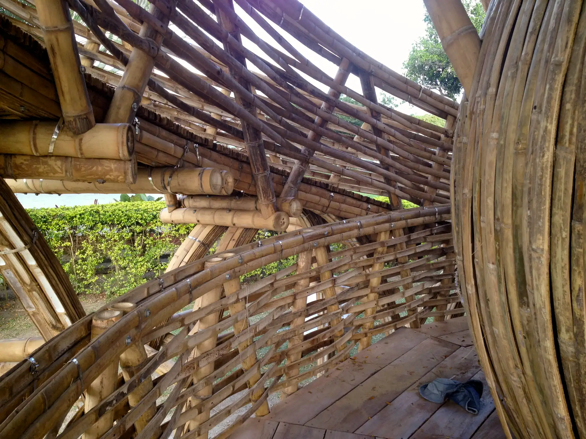 Guadua Bamboo Treehouse Colombia