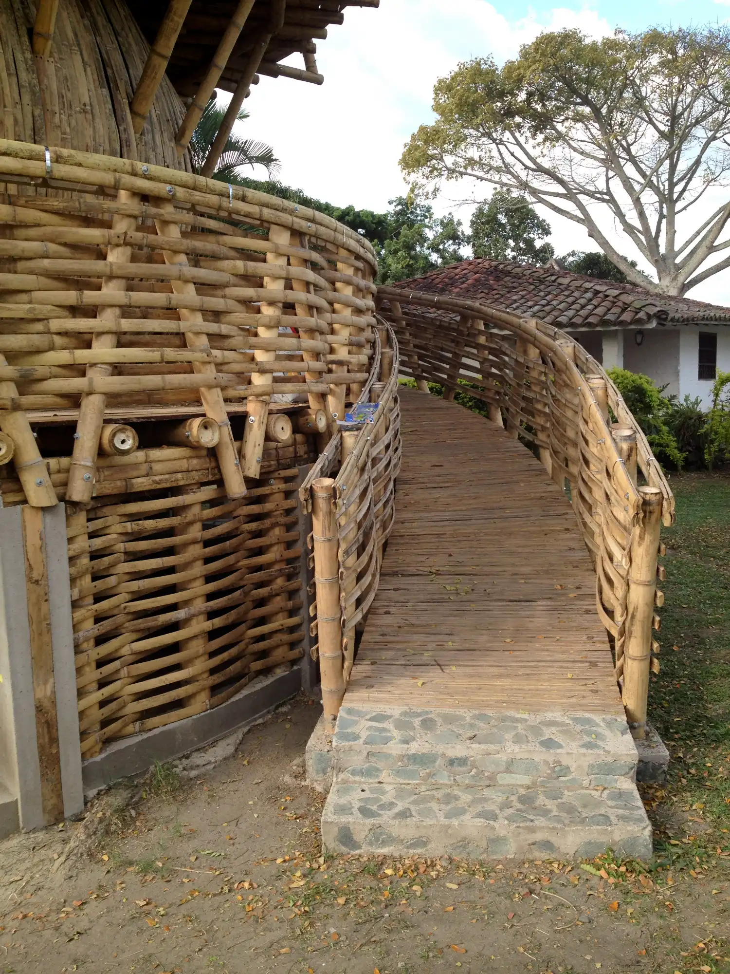 Guadua Bamboo Treehouse Colombia