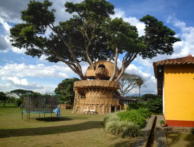 Guadua Bamboo Treehouse Colombia