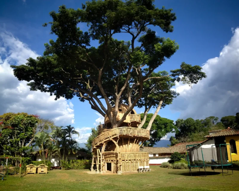 Guadua Bamboo Treehouse Colombia