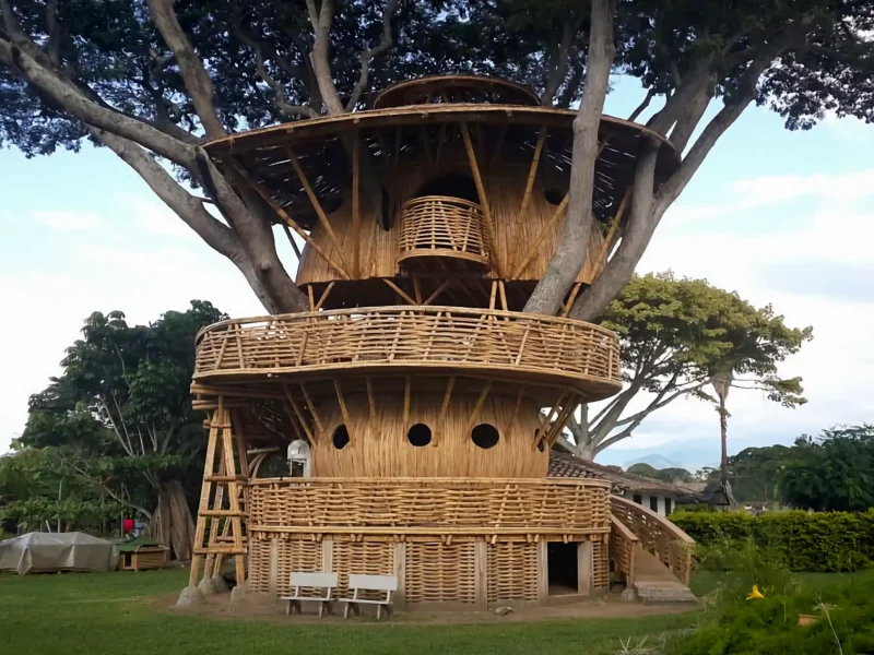 Guadua Bamboo Treehouse Colombia
