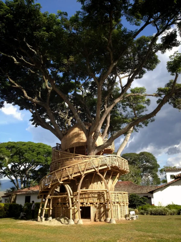 Guadua Bamboo Treehouse Colombia