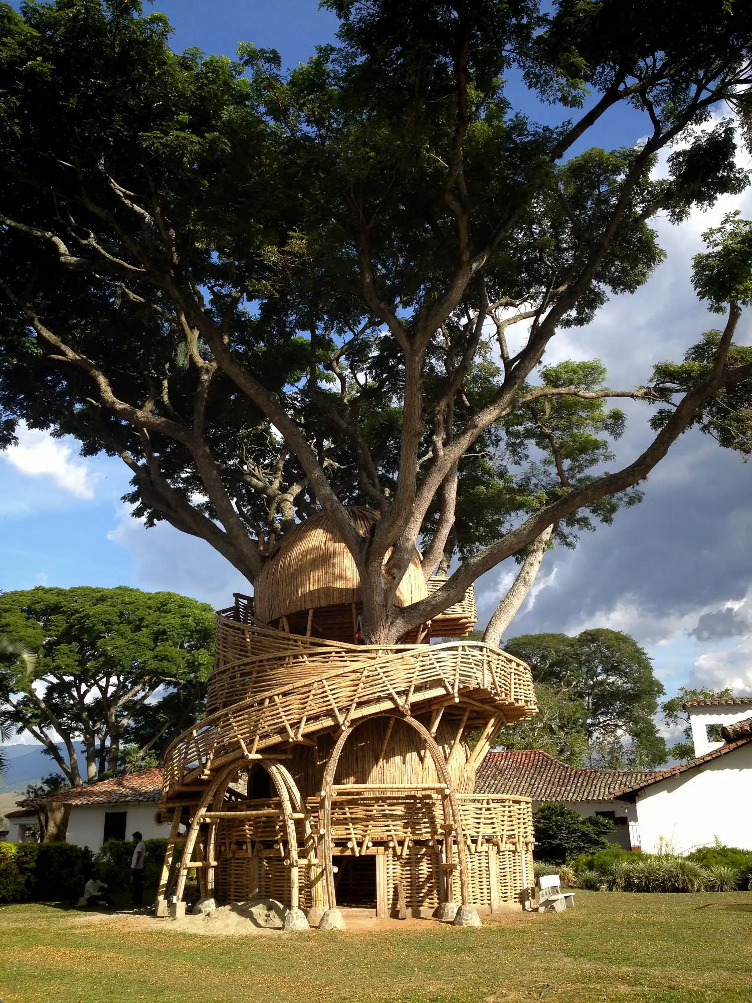 Guadua Bamboo Treehouse Colombia