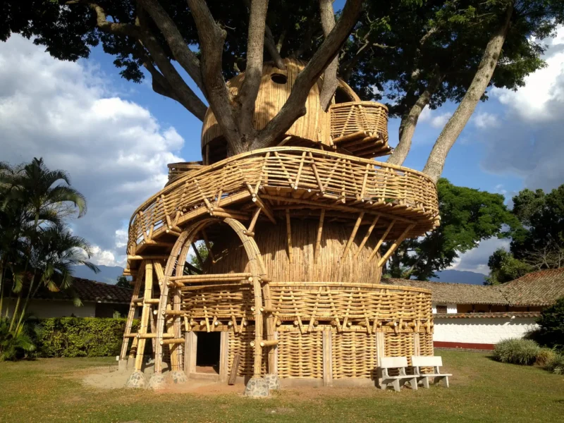 Guadua Bamboo Treehouse Colombia