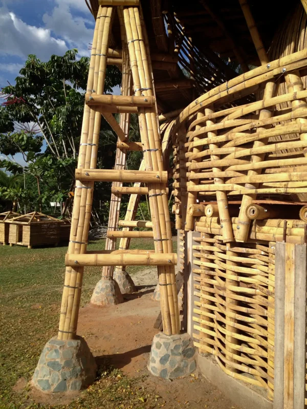 Guadua Bamboo Treehouse Colombia