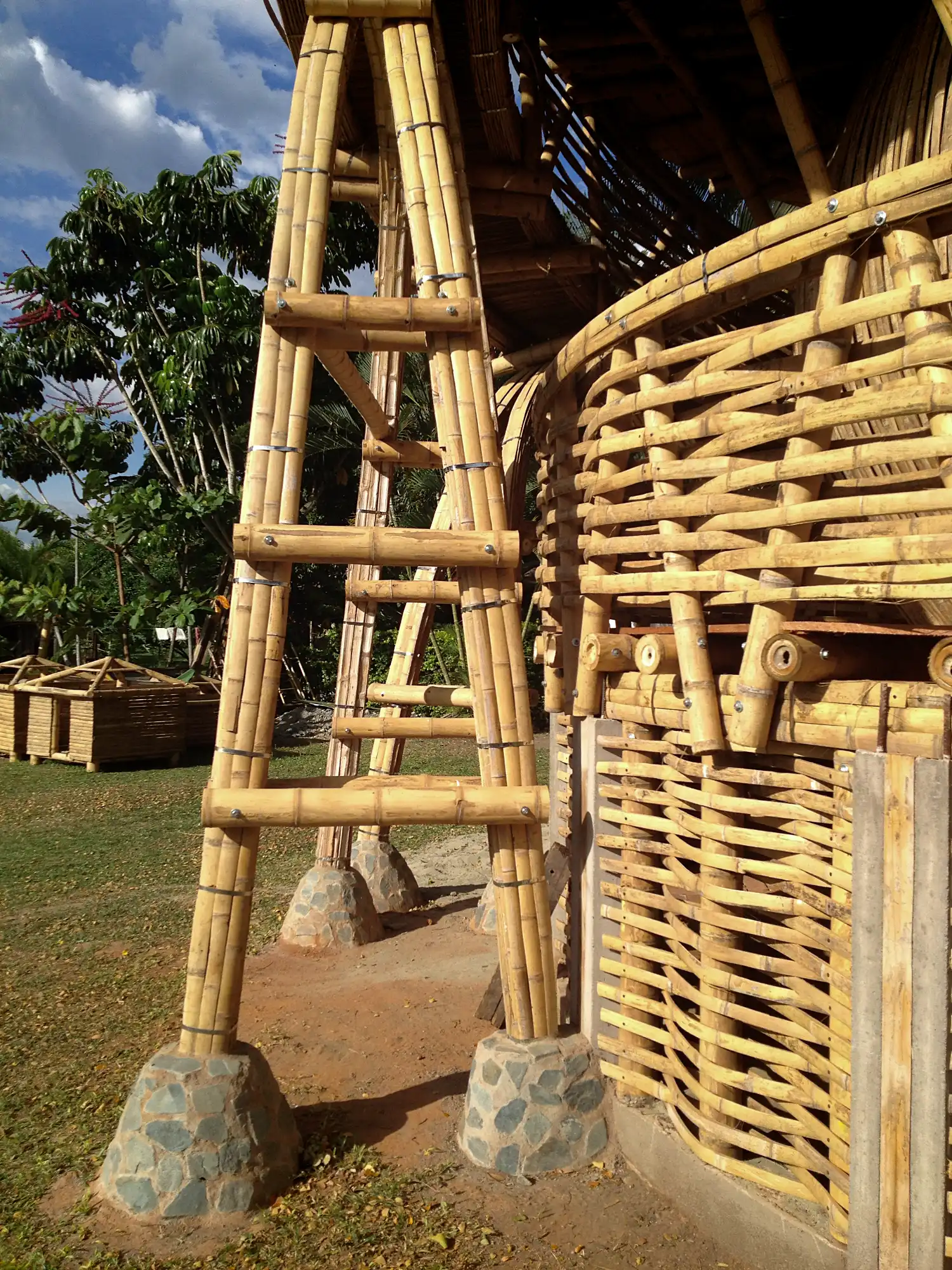 Guadua Bamboo Treehouse Colombia