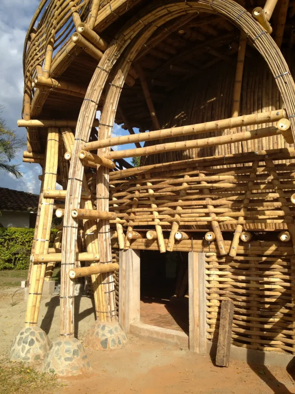 Guadua Bamboo Treehouse Colombia