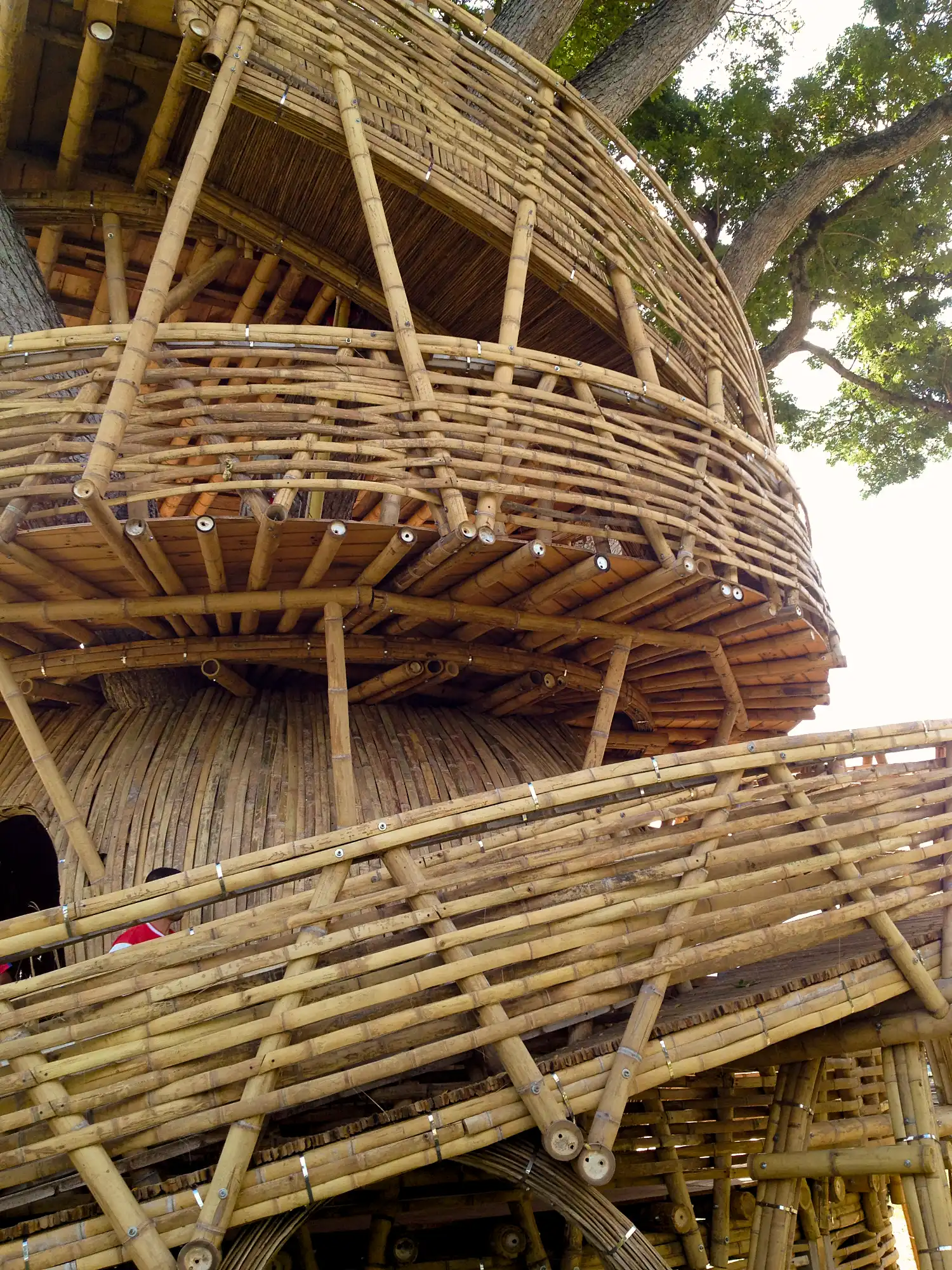 Guadua Bamboo Treehouse Colombia