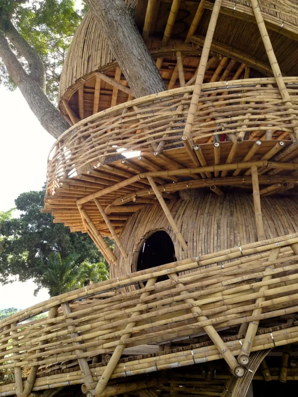 Guadua Bamboo Treehouse Colombia