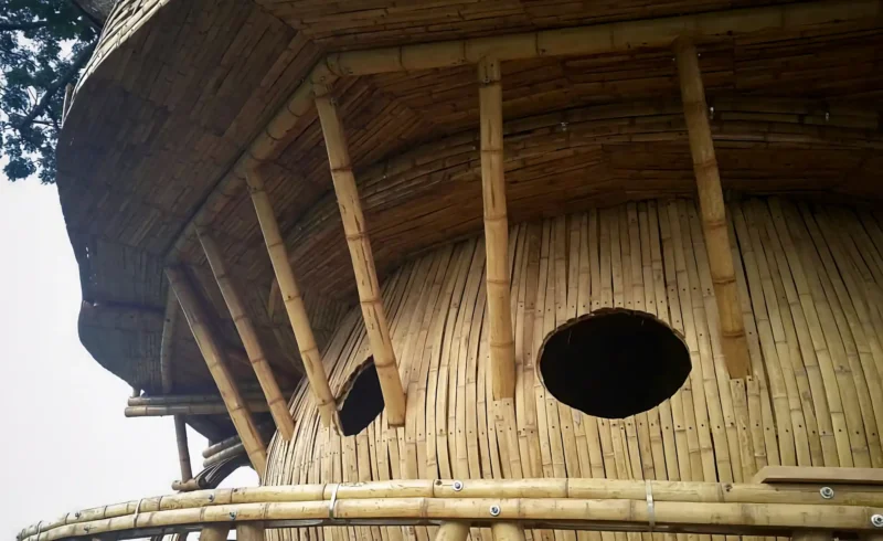 Guadua Bamboo Treehouse Colombia