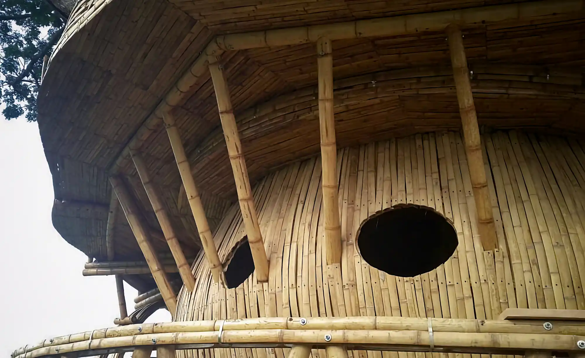 Guadua Bamboo Treehouse Colombia