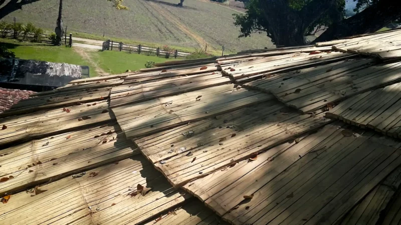Guadua Bamboo Treehouse Colombia