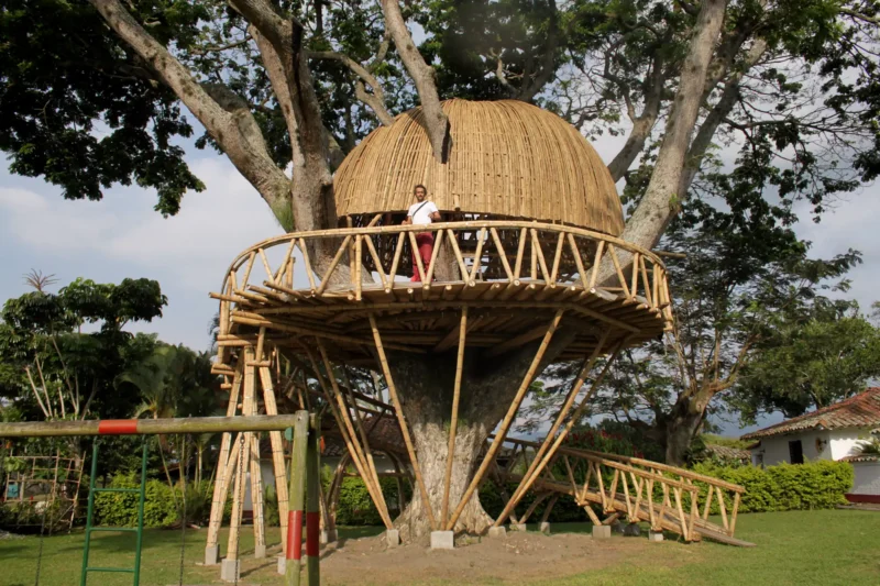 Guadua Bamboo Treehouse Colombia