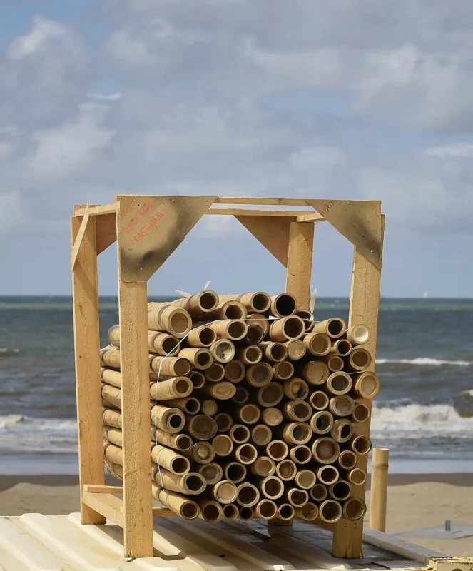 Assembly of the Mobile Bamboo Theatre at the Beach