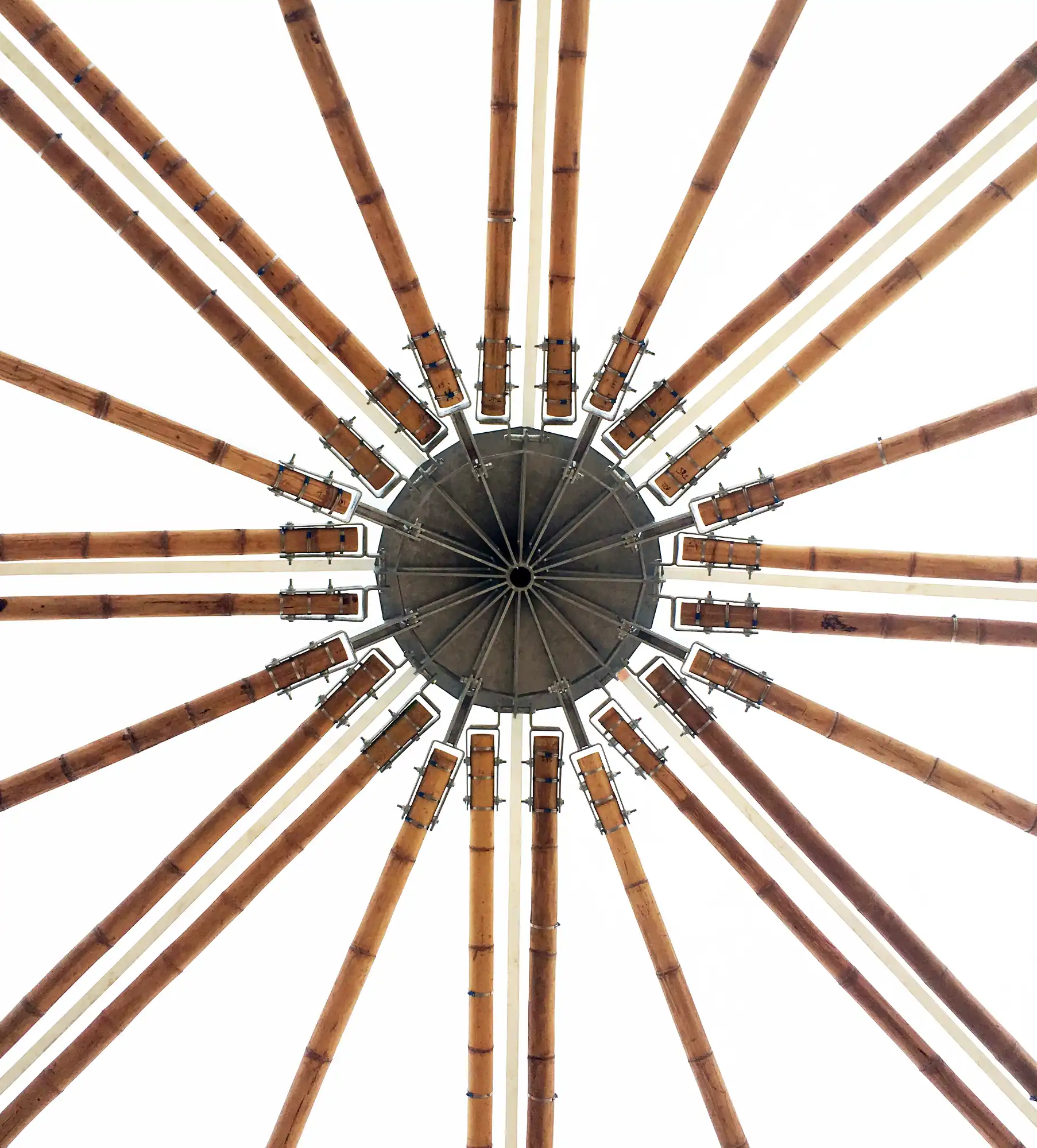 Custom steel crown joinery system for structural Guadua bamboo poles