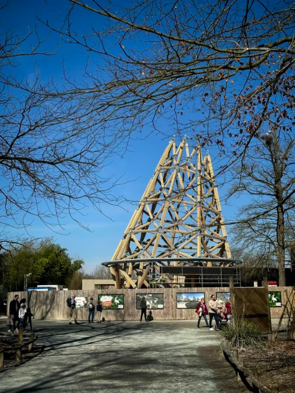Construction of Guadua Bamboo Tower for Zoo in Belgium