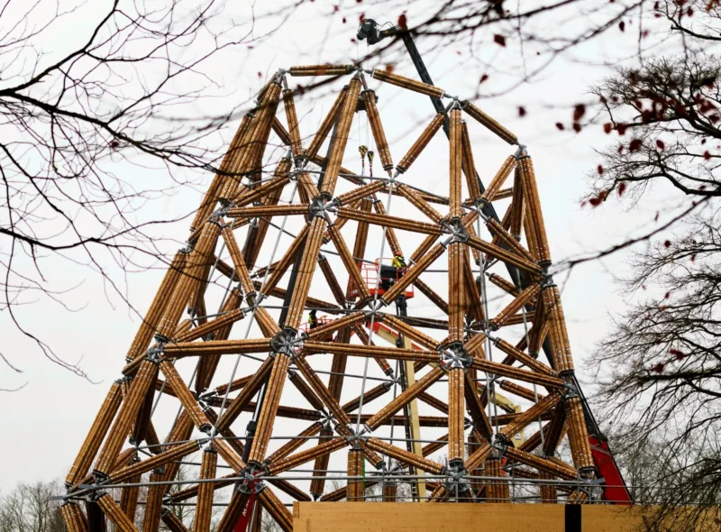 Construction of Guadua Bamboo Tower for Zoo in Belgium