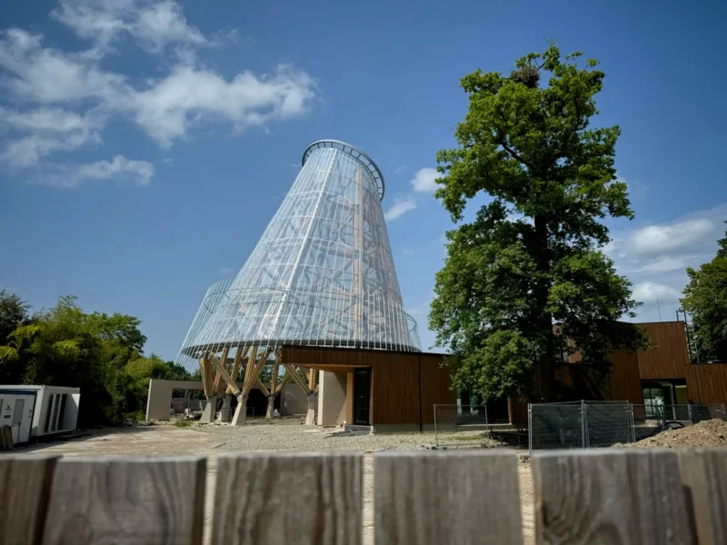 Construction of Guadua Bamboo Tower for Zoo in Belgium