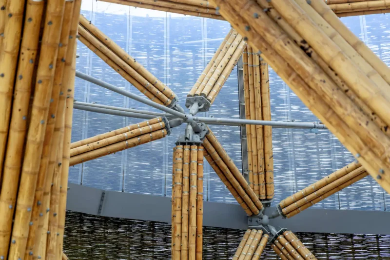 Guadua Bamboo Tower for Zoo in Belgium: Europe’s Largest Structural Bamboo Building