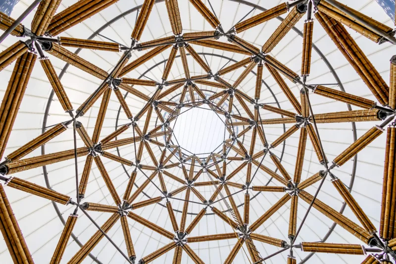 Guadua Bamboo Tower for Zoo in Belgium: Europe’s Largest Structural Bamboo Building