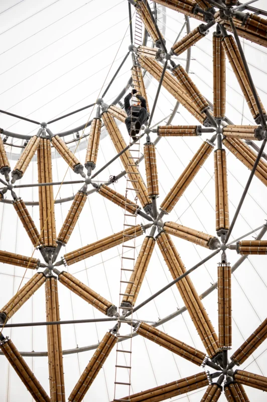 Inauguration of Finished Guadua Bamboo Tower for Zoo in Belgium