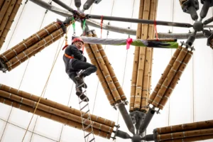 Guadua Bamboo Tower for Zoo in Belgium: Europe’s Largest Structural Bamboo Building